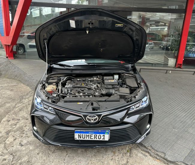 WhatsApp Image 2025-10-02 at 09.11.08